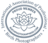 IAPBP-Badge-1-Color-Navy-1.png